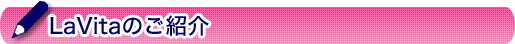 有料老人ホーム等の高齢者住宅・介護施設情報サービス「LaVita」のご紹介