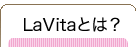 高齢者住宅・介護施設情報サービス LaVita(ラヴィータ)とは？